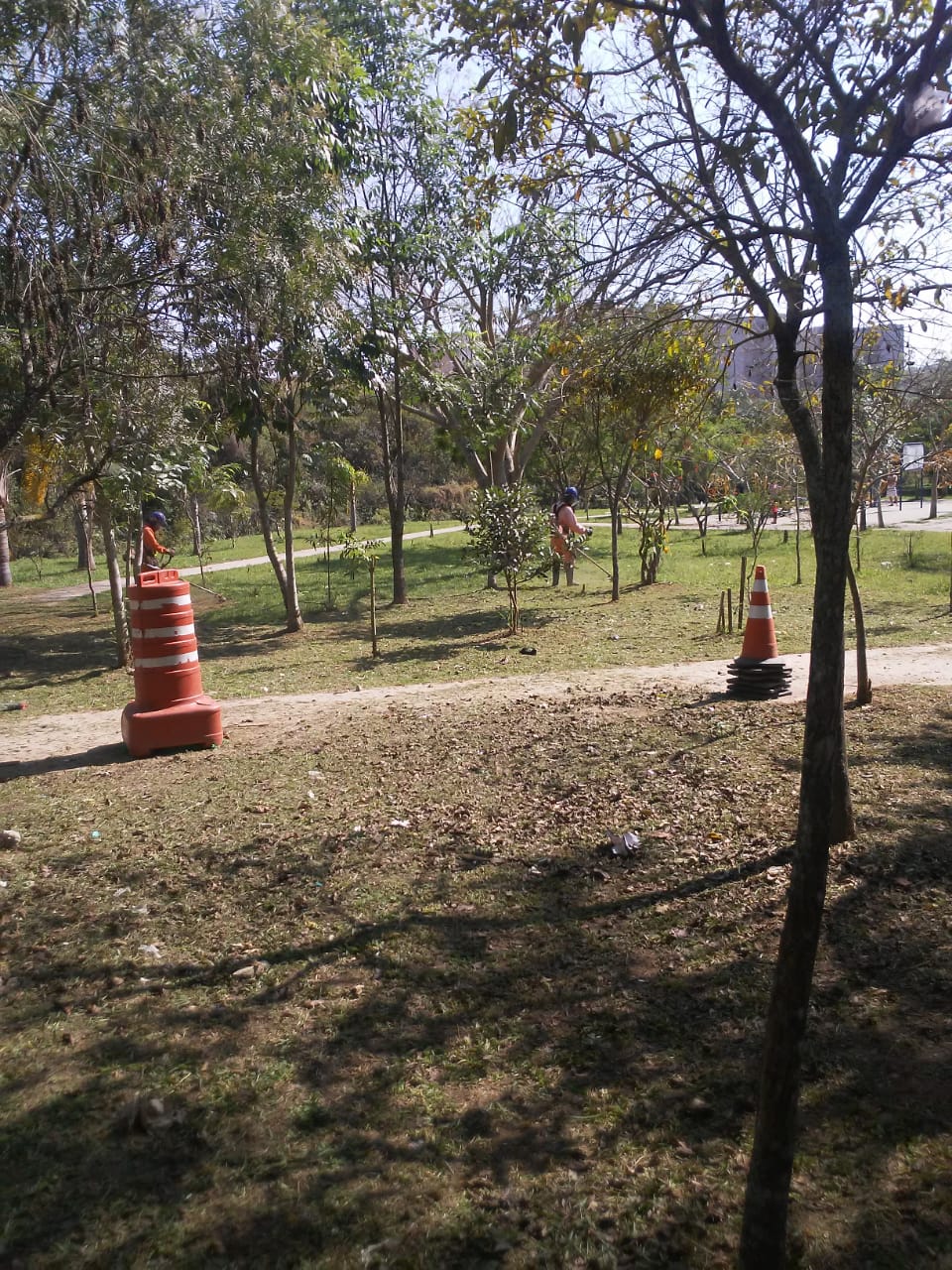 Dois cones laranja com listras brancas marcam local onde funcionários da Prefeitura roçam a grama, numa praça com diversas árvores de médio porte